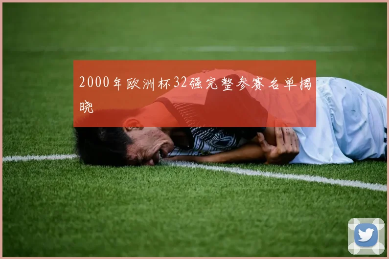 2000年欧洲杯32强完整参赛名单揭晓