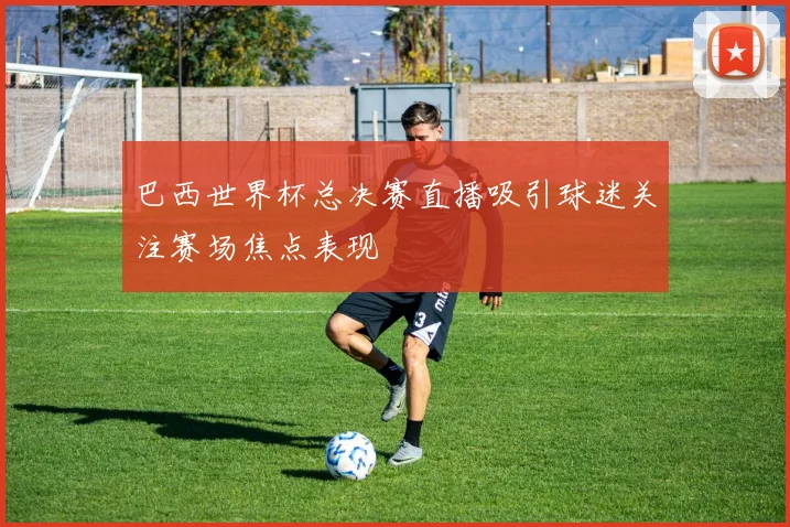 巴西世界杯总决赛直播吸引球迷关注赛场焦点表现