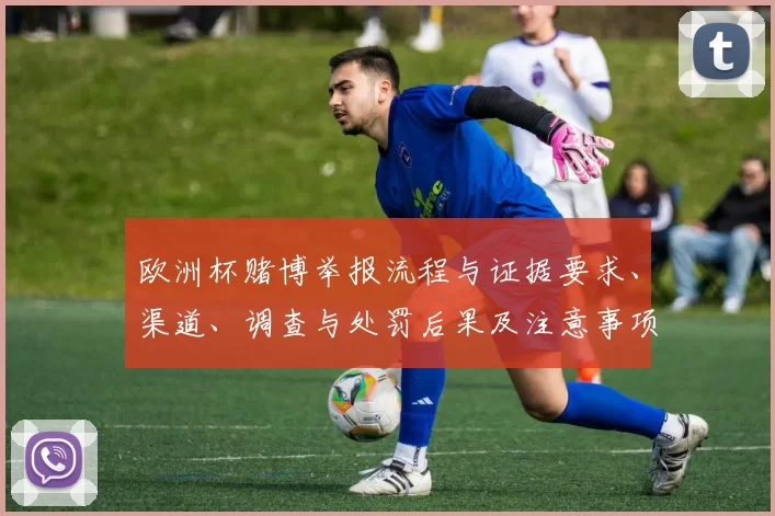 欧洲杯赌博举报流程与证据要求、渠道、调查与处罚后果及注意事项