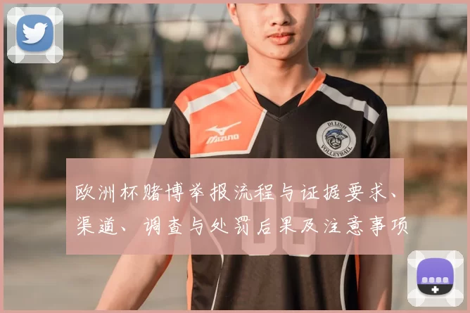 欧洲杯赌博举报流程与证据要求、渠道、调查与处罚后果及注意事项