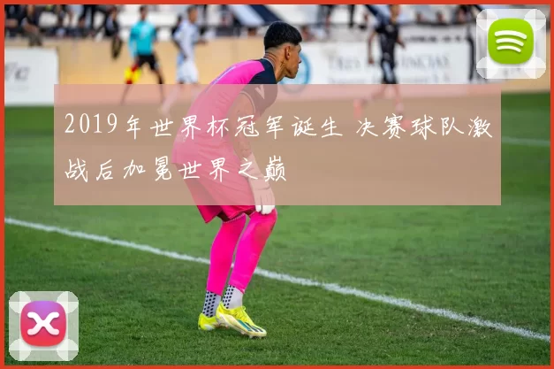 2019年世界杯冠军诞生 决赛球队激战后加冕世界之巅