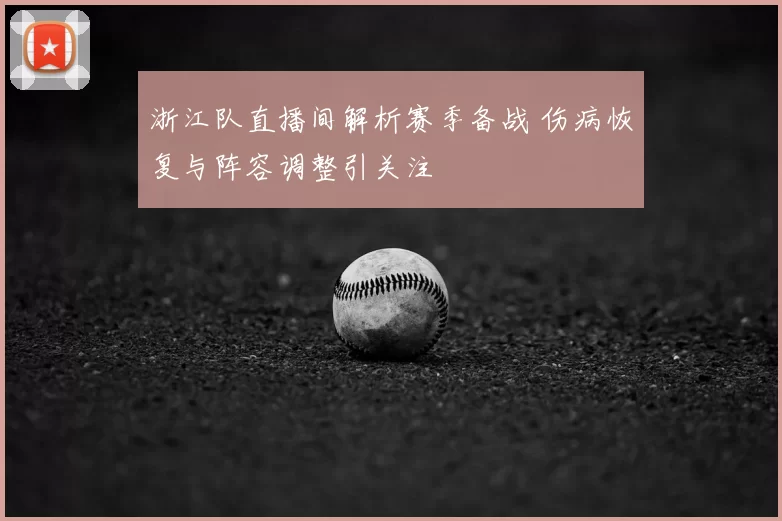 浙江队直播间解析赛季备战 伤病恢复与阵容调整引关注
