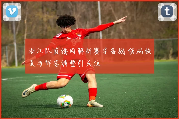 浙江队直播间解析赛季备战 伤病恢复与阵容调整引关注